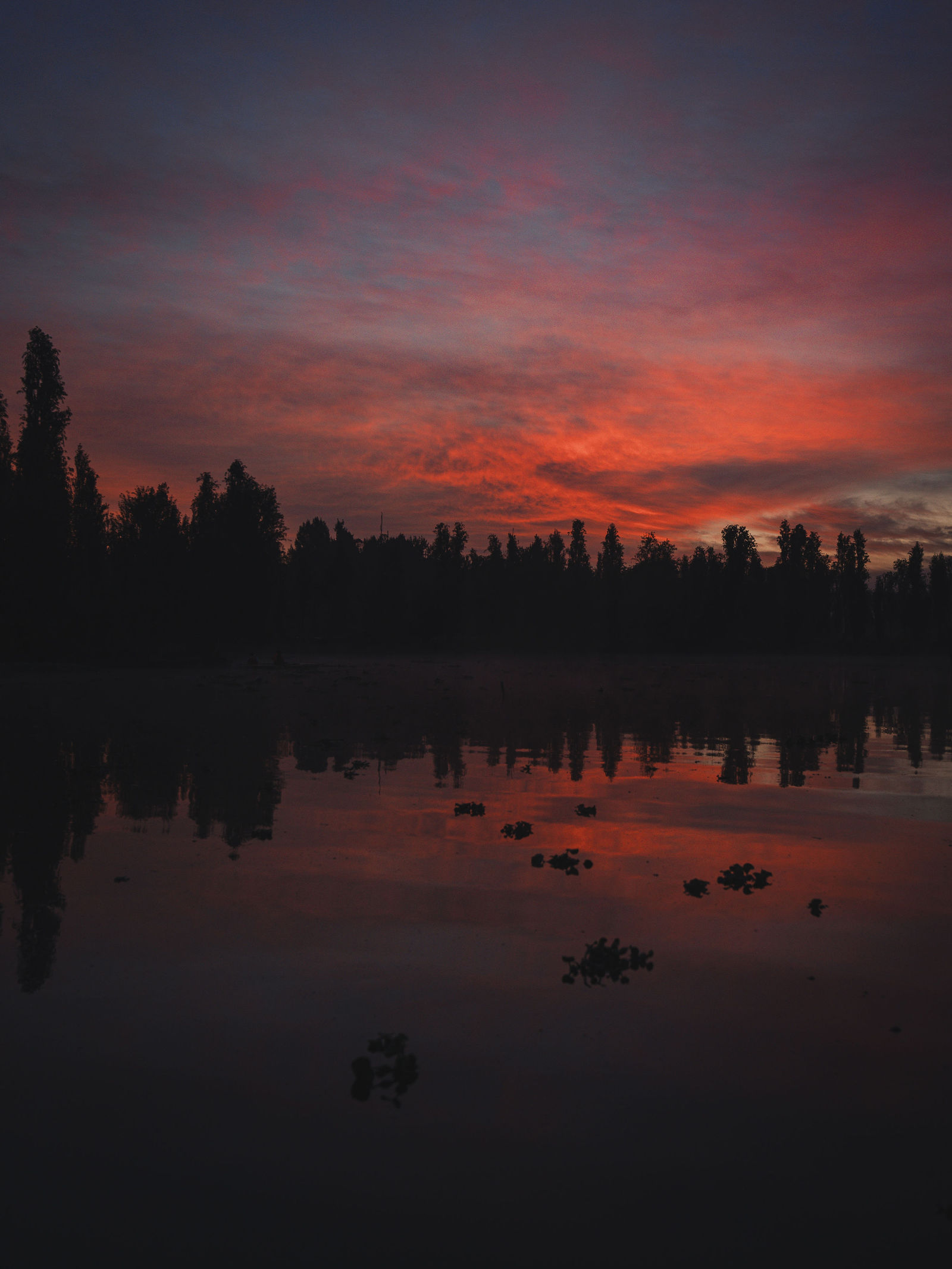 Sunrise over the lake